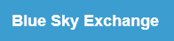 Blue Sky Exchange Google Ads Management